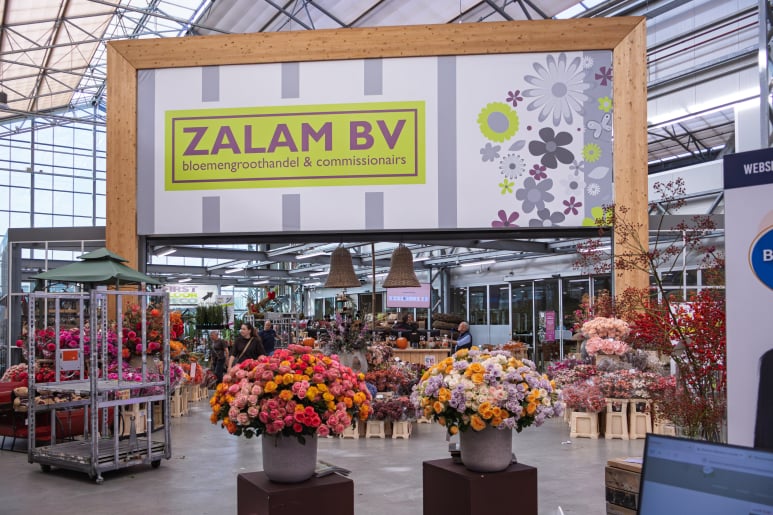 Zalam