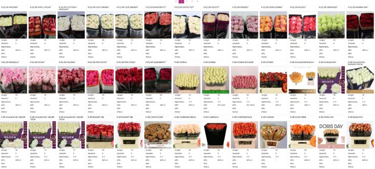 webshop-zalam-ede-bloemengroothandel