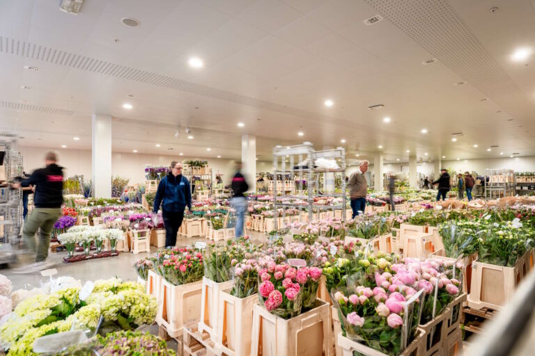 koelcel vol met mensen en bloemen in ede waar de cash en carry bloemen worden ingekocht