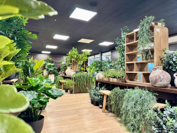 zijden-planten-groothandel