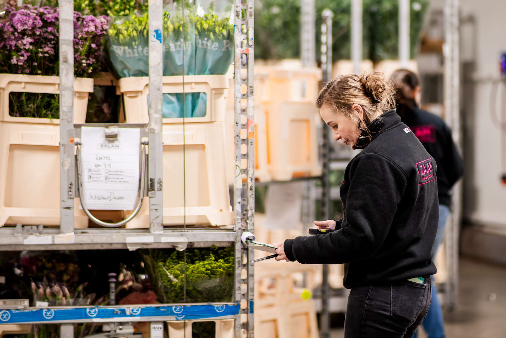 Zalam bloemen groothandel