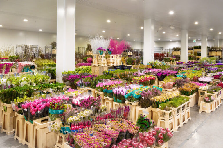 Bloemenkoelcel gevuld met heel veel verse bloemen